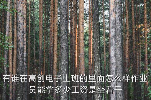 有誰在高創(chuàng)電子上班的里面怎么樣作業(yè)員能拿多少工資是坐著干