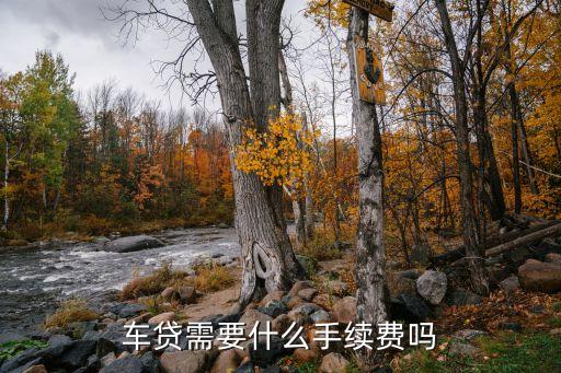 車貸一年需要什么手續(xù)費多少，買車貸款手續(xù)費多少