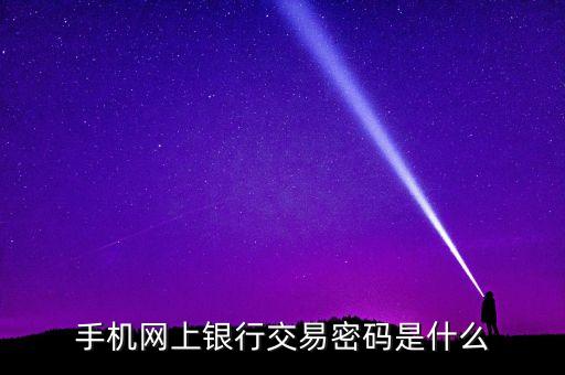 手機(jī)網(wǎng)上銀行交易密碼是什么