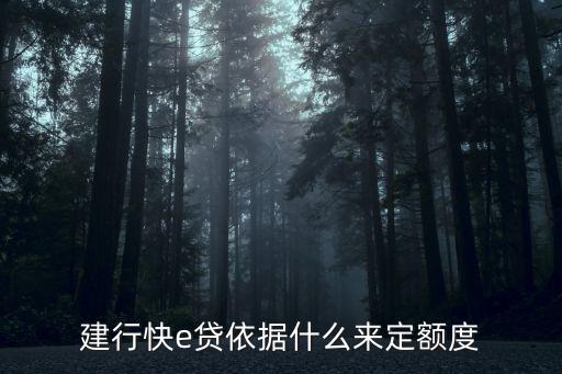 建行快e貸依據(jù)什么來(lái)定額度