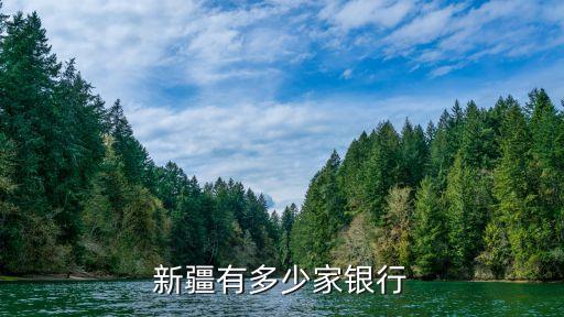 新疆有多少家銀行