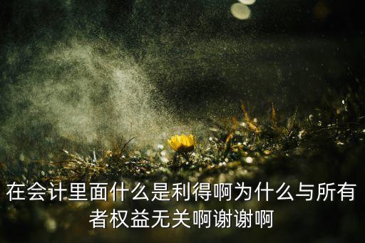 在會(huì)計(jì)里面什么是利得啊為什么與所有者權(quán)益無(wú)關(guān)啊謝謝啊