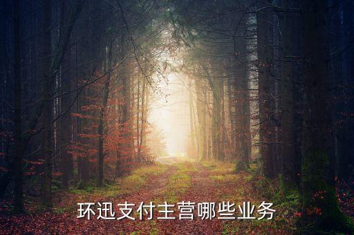 環(huán)訊支付是什么，請問環(huán)訊在線支付包含什么