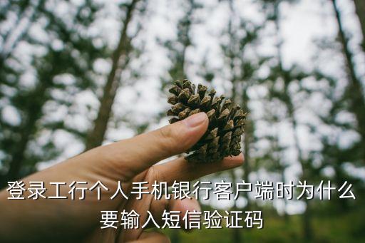 手機(jī)銀行為什么要發(fā)驗(yàn)證碼，登陸手機(jī)建行為什么老是向別的號碼發(fā)送驗(yàn)證碼啊