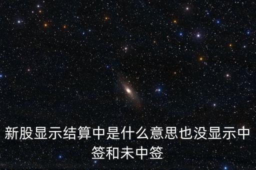 新股顯示結(jié)算中是什么意思也沒(méi)顯示中簽和未中簽