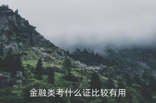 金融行業(yè)什么證書最好，國內(nèi)金融行業(yè)有什么比較厲害的證書