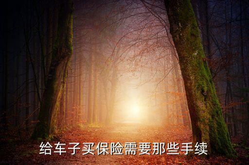 給車子買保險需要那些手續(xù)