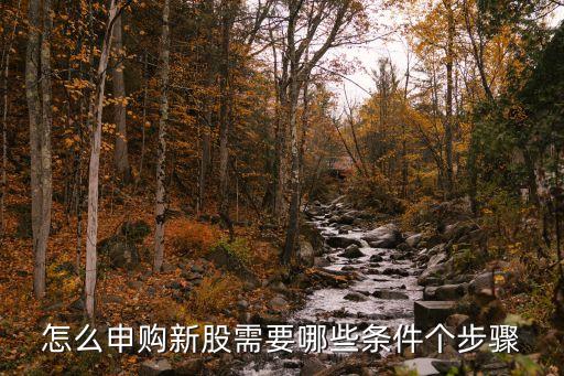 打新股需要開通什么，我已要持倉(cāng)要申購(gòu)新股還要開通什么嗎怎么申購(gòu)