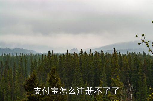 支付寶怎么注冊(cè)不了了