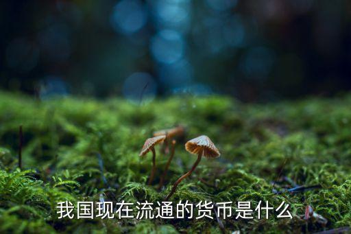 我國現(xiàn)在流通的貨幣是什么