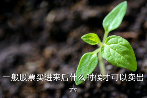 一般股票買進來后什么時候才可以賣出去