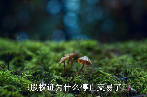 權(quán)證為什么沒了，現(xiàn)在為啥不能沒有權(quán)證發(fā)行了