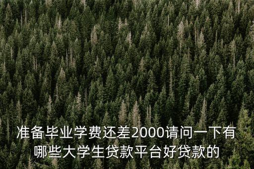 準(zhǔn)備畢業(yè)學(xué)費(fèi)還差2000請(qǐng)問(wèn)一下有哪些大學(xué)生貸款平臺(tái)好貸款的