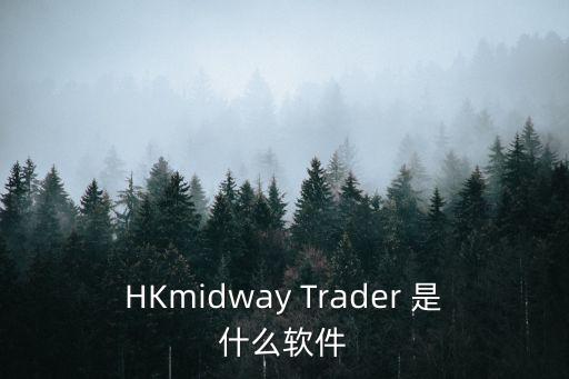 瞬時(shí)貸app是什么下載，HKmidway Trader 是什么軟件