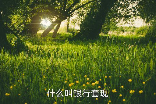 什么叫銀行套現(xiàn)