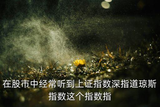 在股市中經(jīng)常聽到上證指數(shù)深指道瓊斯指數(shù)這個(gè)指數(shù)指