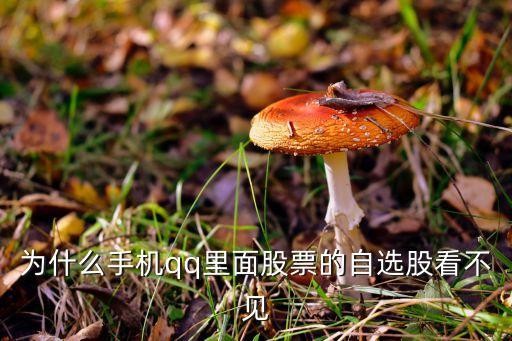 為什么手機(jī)qq里面股票的自選股看不見(jiàn)