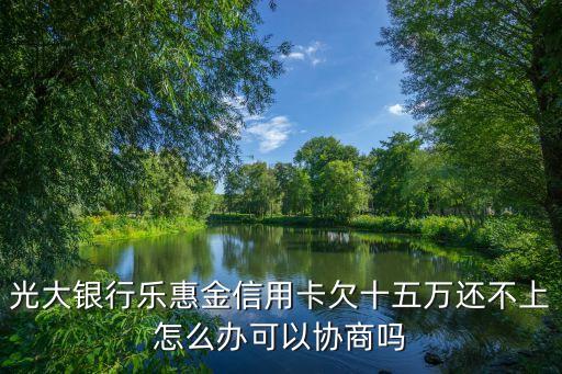 光大銀行樂惠金信用卡欠十五萬還不上怎么辦可以協(xié)商嗎