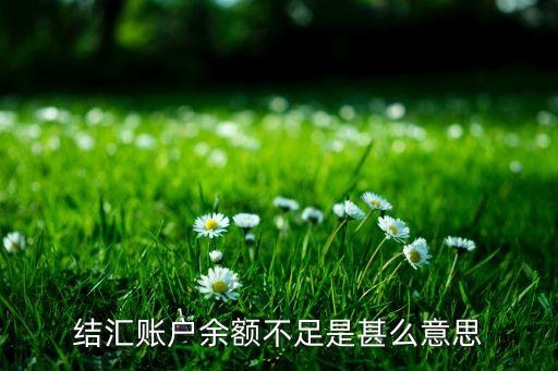 當(dāng)賬戶余額不夠一次點(diǎn)擊是什么意思，結(jié)匯賬戶余額不足是甚么意思