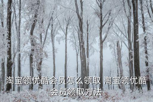 淘寶領優(yōu)酷會員怎么領取 淘寶領優(yōu)酷會員領取方法