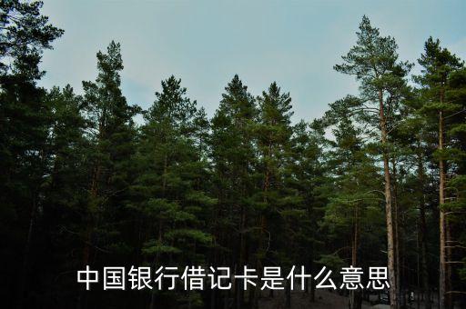 中國銀行借記卡是什么意思