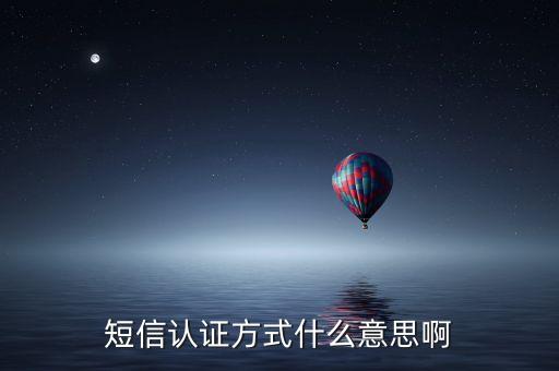 短信認(rèn)證方式什么意思啊