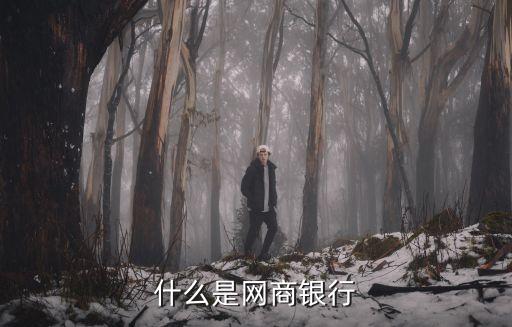 網(wǎng)商銀行是干什么的，什么是網(wǎng)商銀行