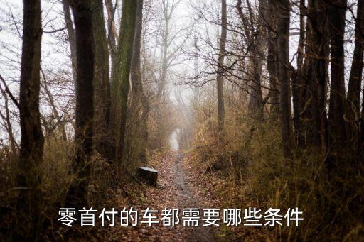 零首付的車都需要哪些條件