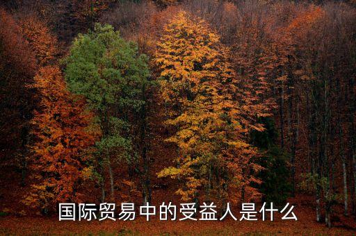 收益人性質(zhì)是什么意思，國際貿(mào)易中的受益人是什么