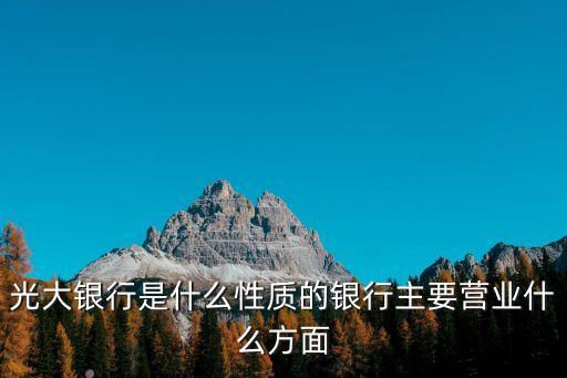 光大銀行是什么性質(zhì)的銀行主要營業(yè)什么方面