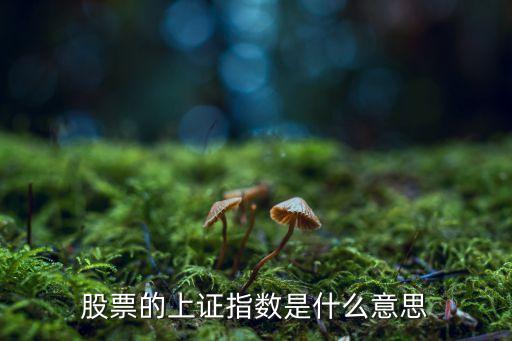 股票的上證指數(shù)是什么意思