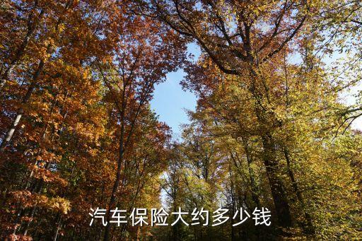 車保險上什么花多少錢，車險各種項目的費用是多少