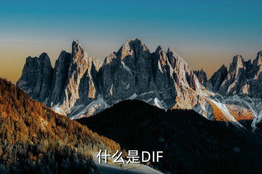 什么是DIF
