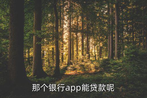 廣發(fā)線上貸款有什么，有正規(guī)的貸款平臺嗎
