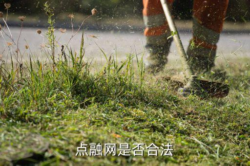 點(diǎn)融網(wǎng)是否合法