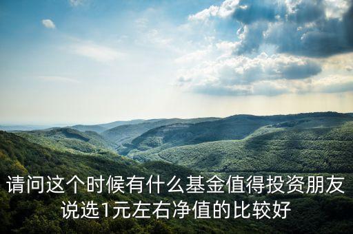 請(qǐng)問這個(gè)時(shí)候有什么基金值得投資朋友說選1元左右凈值的比較好