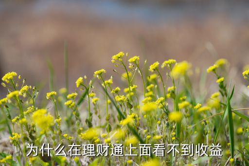 為什么在理財(cái)通上面看不到收益