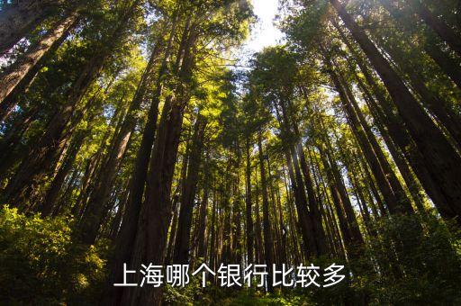 上海有什么銀行，上海哪個(gè)銀行比較多