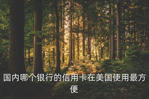 國(guó)內(nèi)哪個(gè)銀行的信用卡在美國(guó)使用最方便