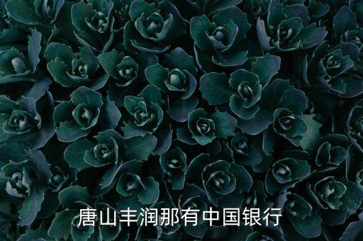 豐潤(rùn)有什么銀行，唐山豐潤(rùn)那有中國(guó)銀行