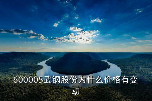 600005武鋼股份為什么價(jià)格有變動(dòng)
