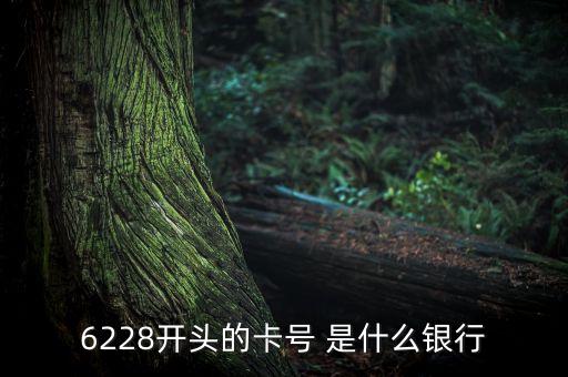 6228開頭的卡號 是什么銀行