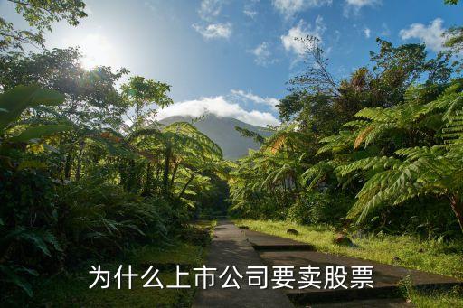 為什么上市公司要賣股票