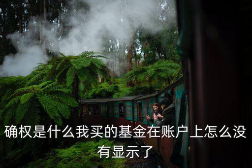 確權(quán)是什么我買的基金在賬戶上怎么沒有顯示了
