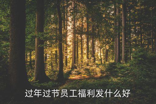 網(wǎng)利寶員工過節(jié)發(fā)什么，過節(jié)給員工發(fā)放的現(xiàn)金怎么做賬啊負什么原始憑證