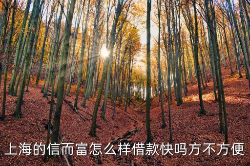 上海的信而富怎么樣借款快嗎方不方便