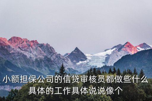 小額擔(dān)保公司的信貸審核員都做些什么具體的工作具體說說像個