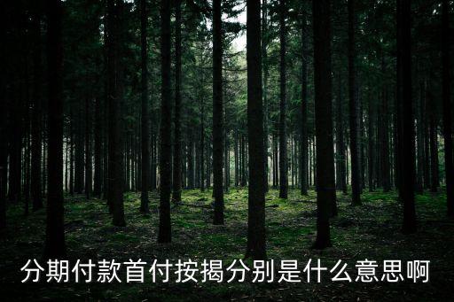 分期付款首付按揭分別是什么意思啊