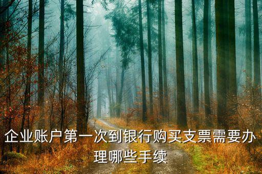 企業(yè)購(gòu)買(mǎi)支票要帶什么資料，購(gòu)買(mǎi)銀行支票都需要帶哪些東西