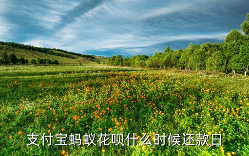花唄付款后什么時(shí)間還，支付寶螞蟻花唄什么時(shí)候還款日